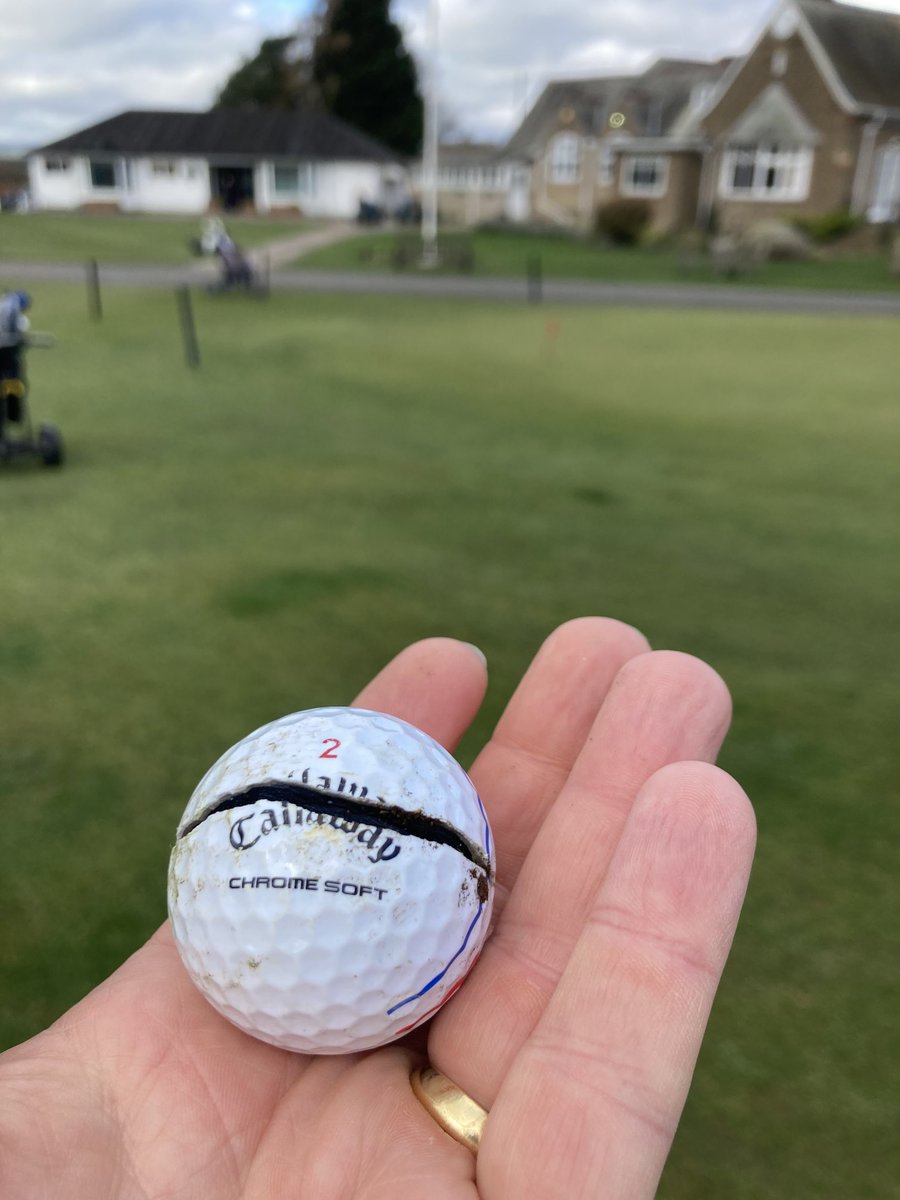 David Hodgson tweet media