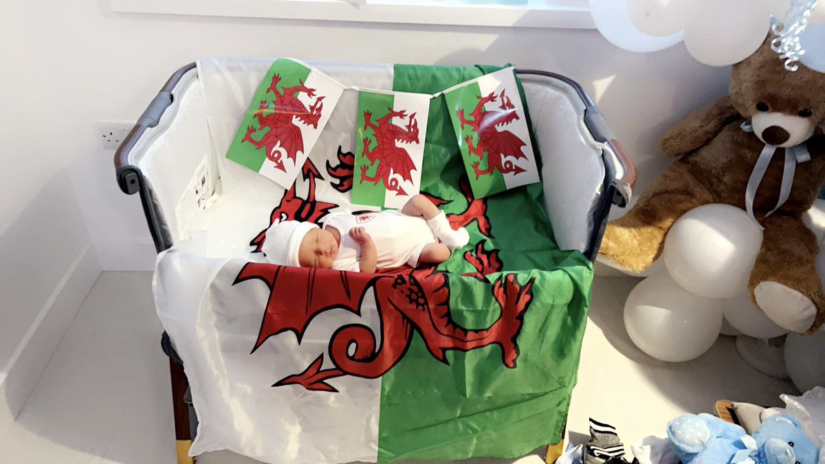 donnafroggie's tweet photo. 6 days old and ready for his first football game ❤️⚽️🏴󠁧󠁢󠁷󠁬󠁳󠁿@Keepersworld https://t.co/qzOEjhV5ST