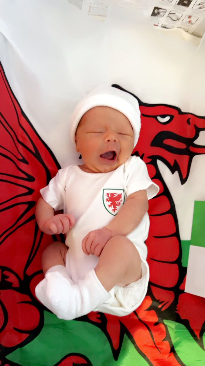 donnafroggie's tweet photo. 6 days old and ready for his first football game ❤️⚽️🏴󠁧󠁢󠁷󠁬󠁳󠁿@Keepersworld https://t.co/qzOEjhV5ST