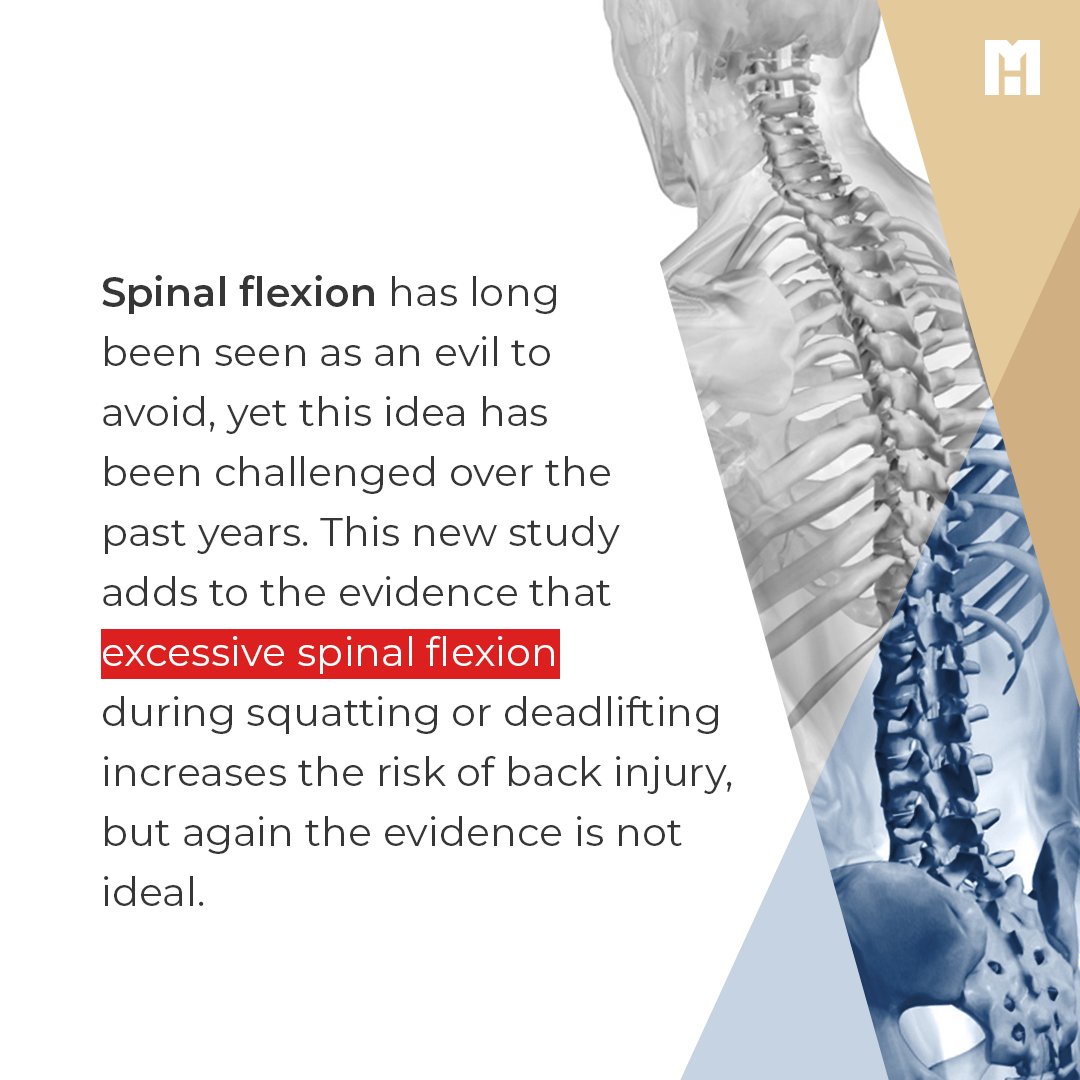 MennoHenselmans's tweet photo. Spinal flexion makes discs more prone to damage, new study finds
In this article I review the evidence for and against the idea that you should avoid excessive spinal flexion when you squat and deadlift: https://t.co/oGZyLxDt9H
#deadlift #spinalflexion #sbd #squat #squats https://t.co/stRcBaRGHV