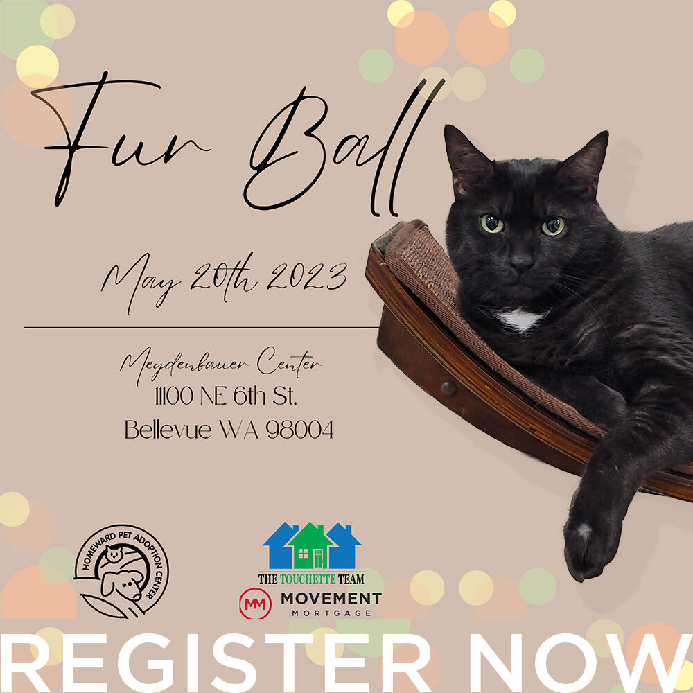 Karl wants to know if you have registered for Fur Ball yet? Your participation in our events helps provide him with a comfortable place to hang out while he waits for his forever home. 

Learn more and register >>> homewardpet.org/events/auction
