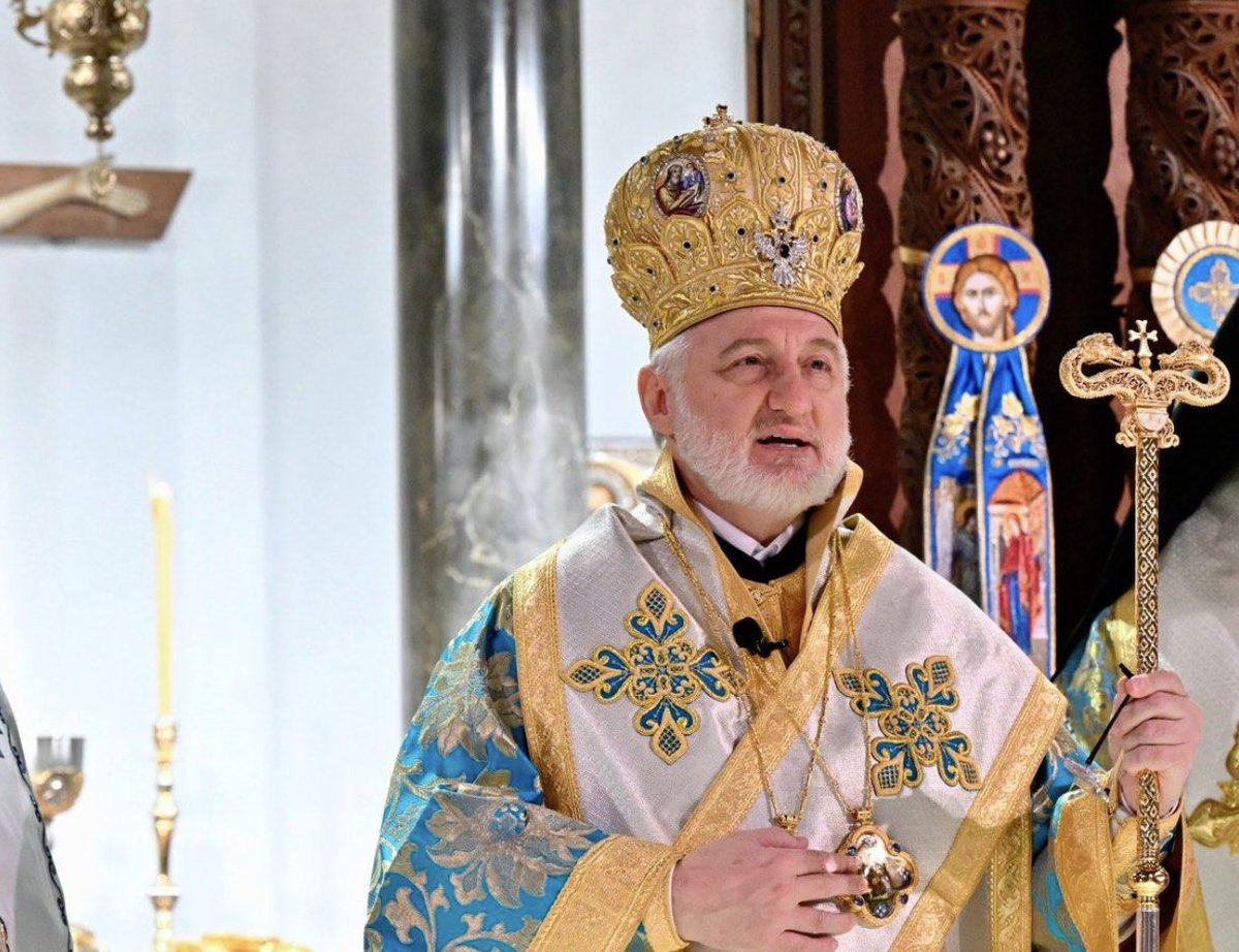 Elpidophoros tweet media