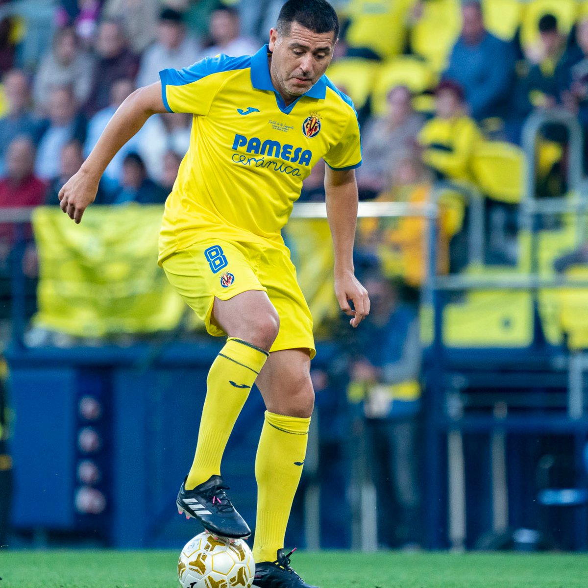 Invictos tweet media