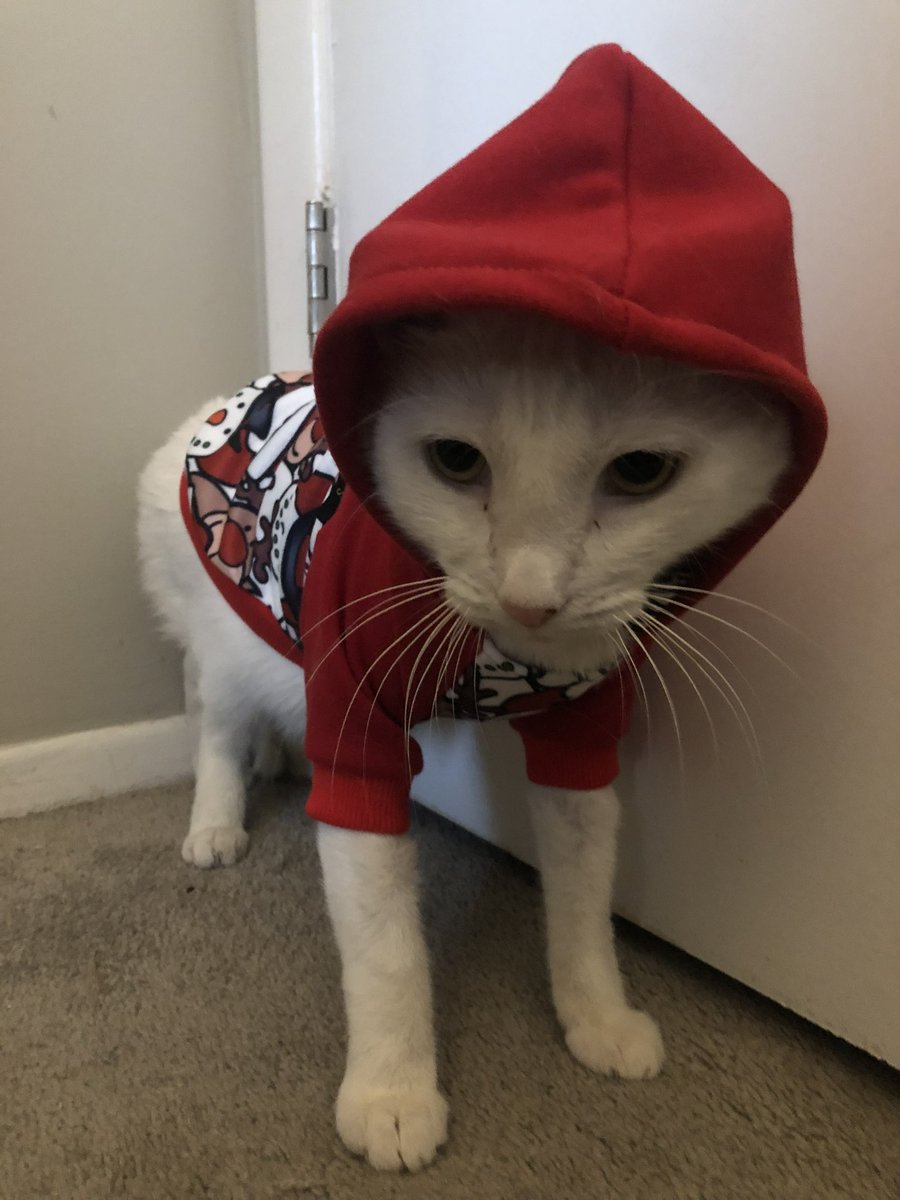 swagmastarpaul's tweet photo. Can’t come to the phone rn I’m focusing on my rap career https://t.co/Kt5471GYxs