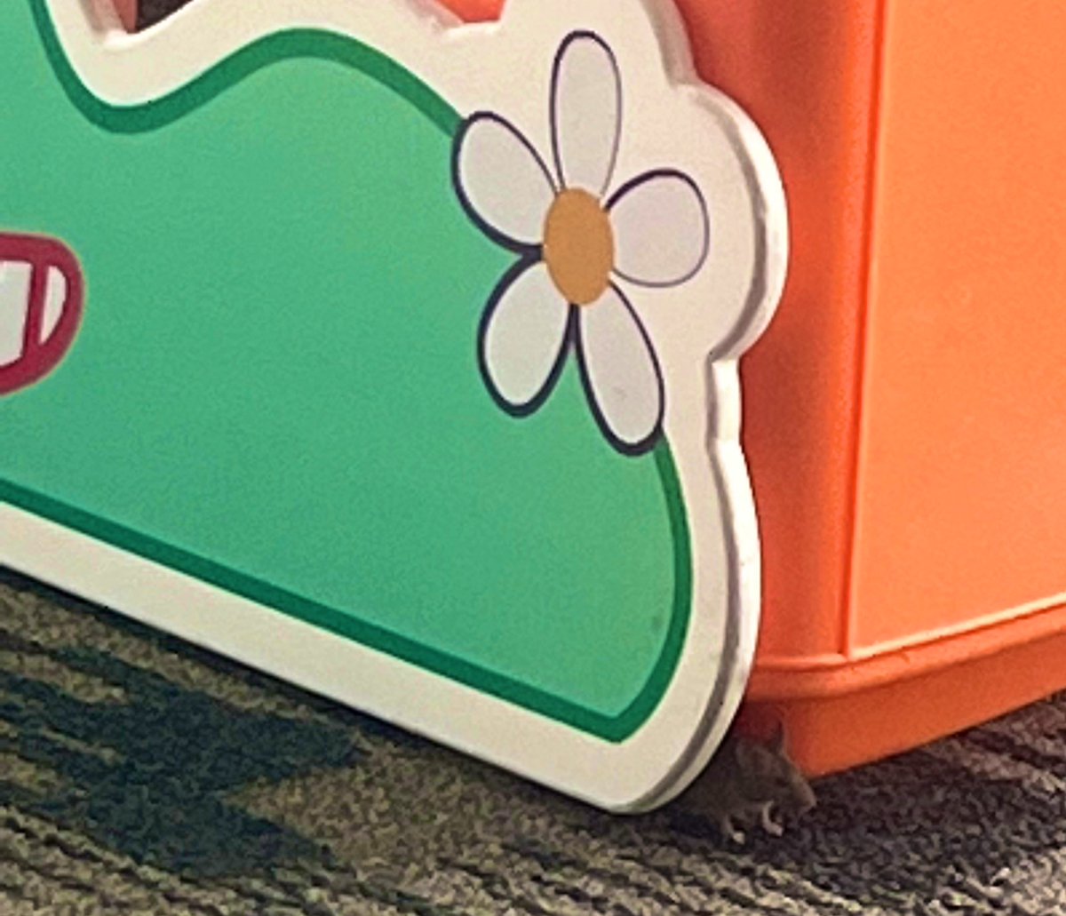 Sonia Malhotra,MD,MS tweet media