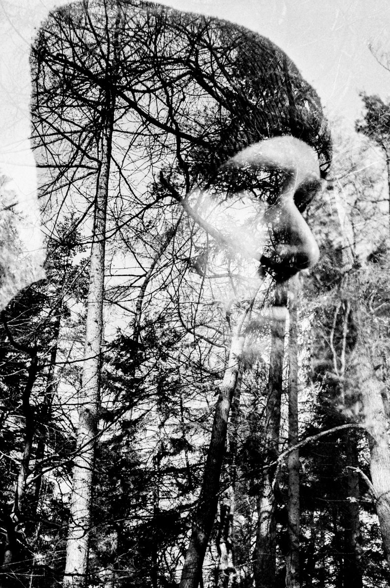 everlongphotouk's tweet photo. Recent promo work for Dundee Black Metal solo artist Bodach! Shot on 35mm film at Templeton Woods 📷 https://t.co/qfi2PdYktG