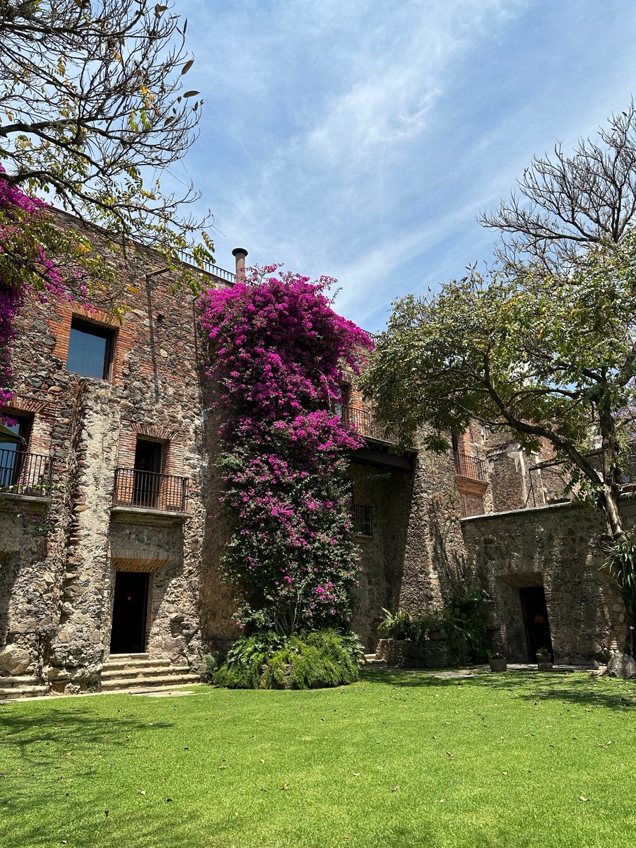 RicardoBSalinas's tweet photo. Me vine a pasar el fin de semana a mi hacienda, tendré mucho tiempo libre y de descanso… ¿que serie de #Netflix me recomiendan ver?

Vamos a pasarla feliz, me compré un nuevo juguete para pasear por Jalmo, ¿lo quieren ver? 😜. https://t.co/cgpQcLpVVl
