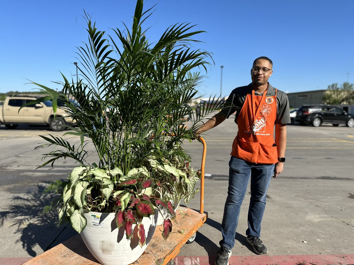 JordanW0568's tweet photo. O just another day at store #0568 selling our last 2 Decatur Palms together @Gabby_0576 @CourtneyMKorkow @LizBolt70613835 @HDepot568 #livegoods #inspirationstore https://t.co/scQPMkxzO5