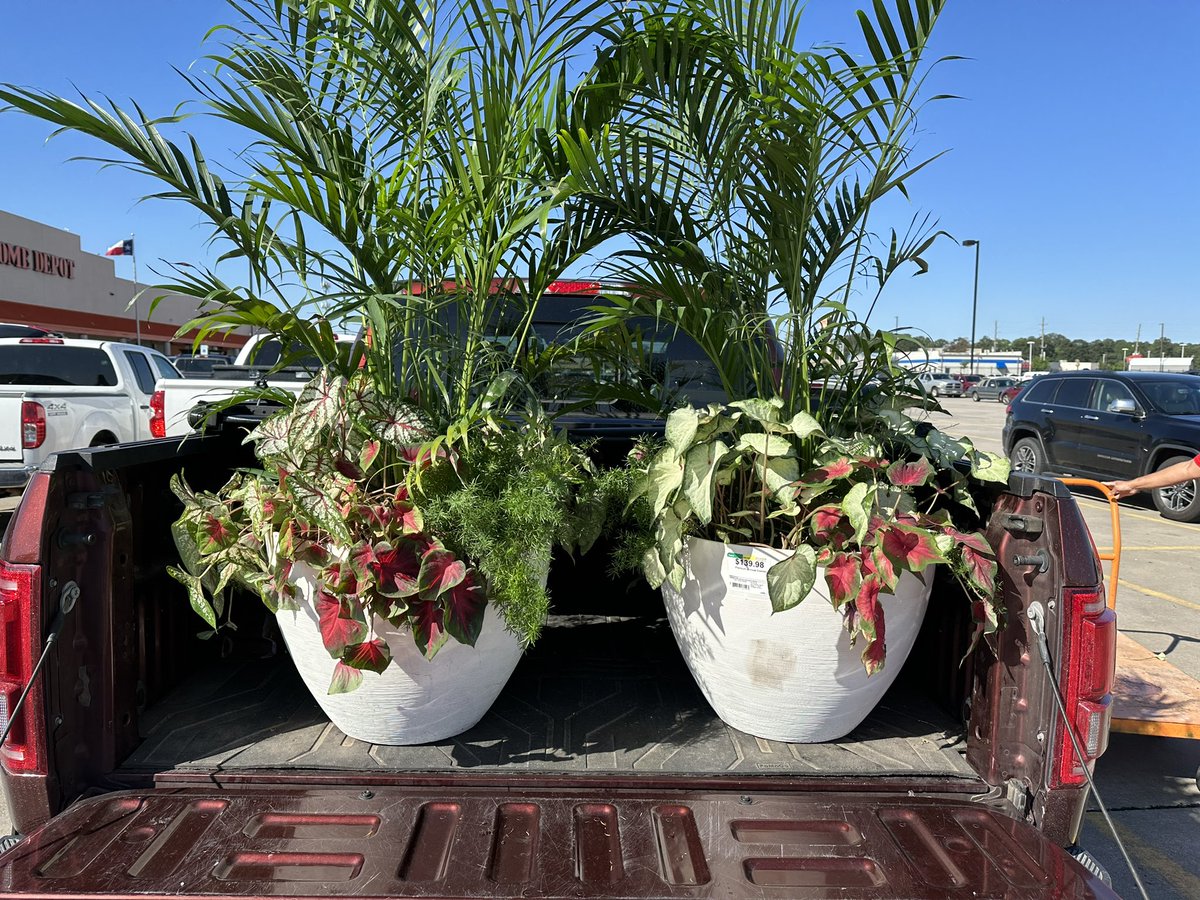 JordanW0568's tweet photo. O just another day at store #0568 selling our last 2 Decatur Palms together @Gabby_0576 @CourtneyMKorkow @LizBolt70613835 @HDepot568 #livegoods #inspirationstore https://t.co/scQPMkxzO5