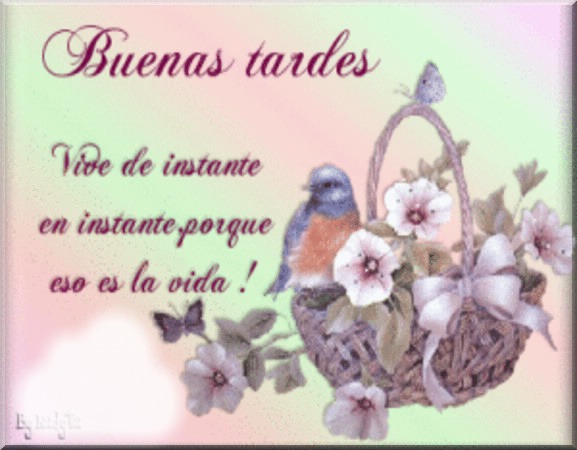 #CárcelParaLosCorruptos @Adrianita714 @Amoreidaniajose @Andinita2021 @Carol18ing @Carol18ing @feentidios35 @IsabelTeresaSu4 @Idalia50M @bravoa1320 @Caav79 @IralisailC @freddyp44055243 @JoheActiva10 @leridadegarcia1