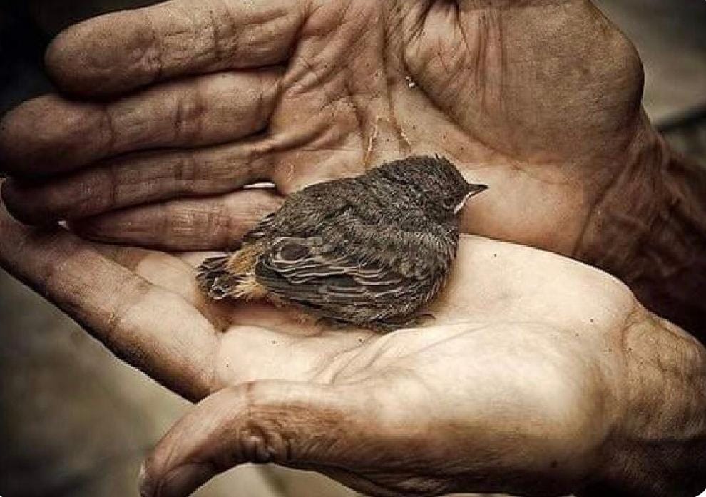 Ya_a89's tweet photo. *"ورحمتي وسِعتْ كل شيء"*
كُنْ على يقين تام بأنه لن يستثنيك منها "🤍 https://t.co/7pt5aIF0jU