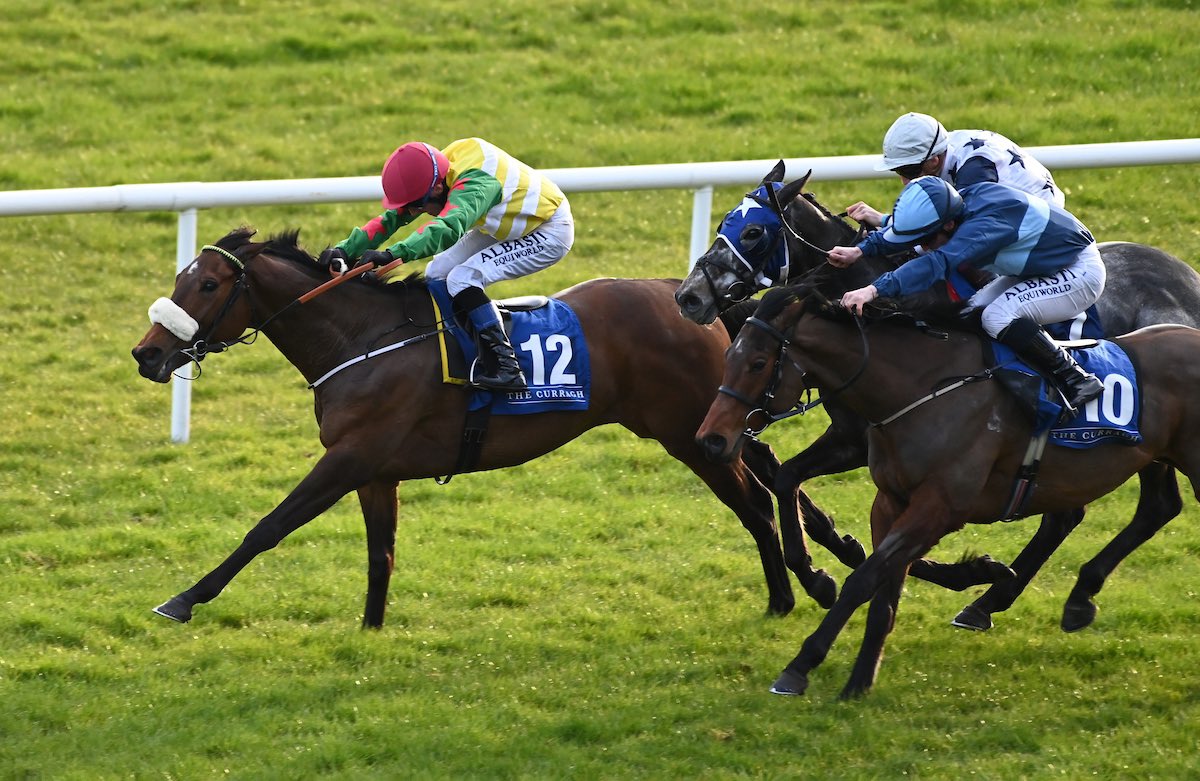 Harty Racing tweet media