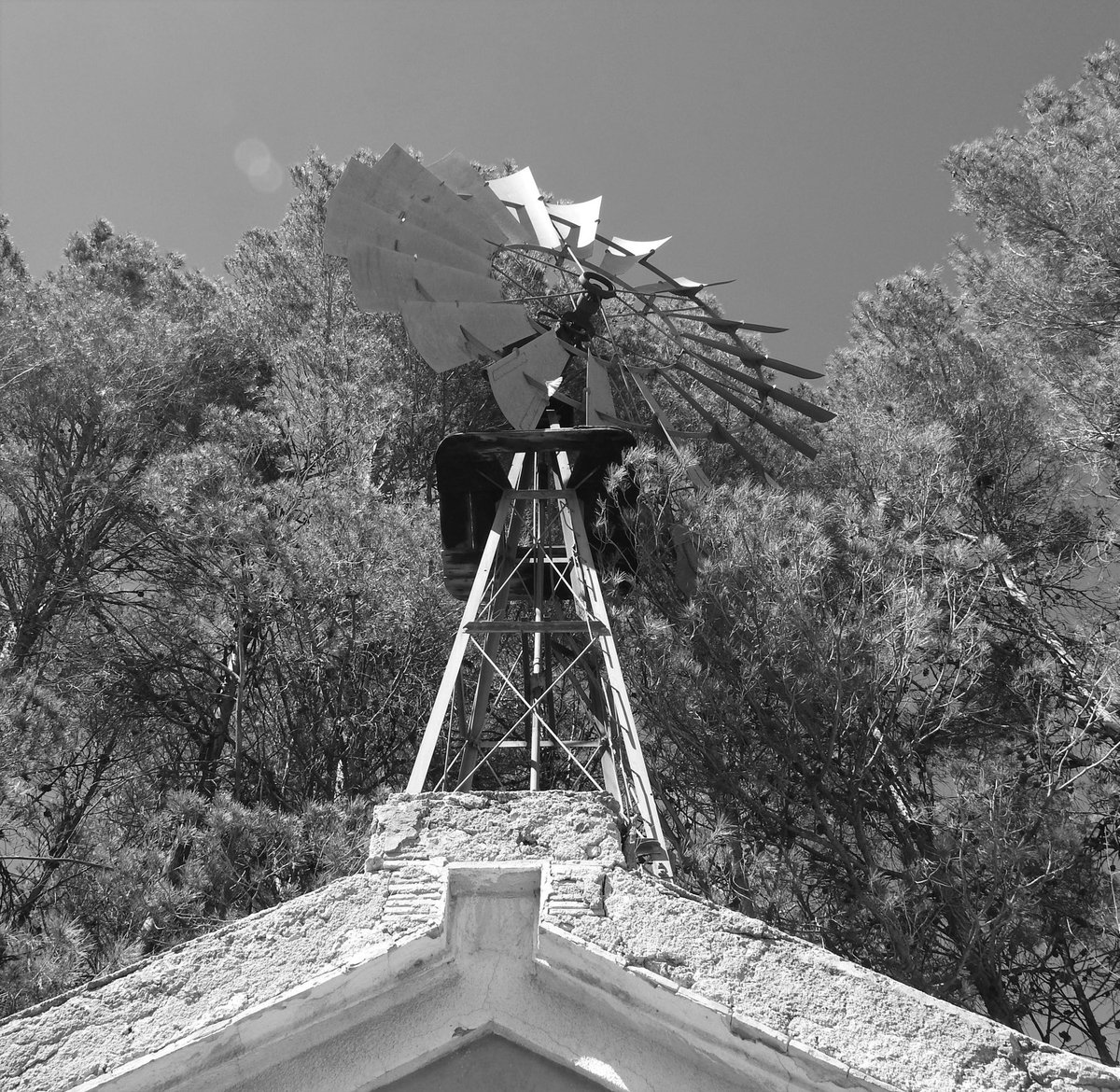 1)La mariposa y el molino
2)Hidrogeodía-Alicante
3)Molino de captación de aguas subterráneas en un pozo antiguo del curso alto del Río Vinalopó-Banyeres de Mariola. ⁦<a href="/ge_aih/">GE-AIH</a>⁩ #hidrogeodia23