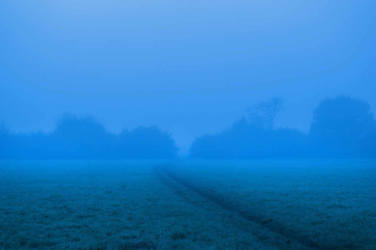 Photos I took on a lonely day