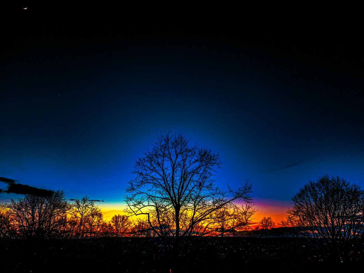 Kit Kant tweet media