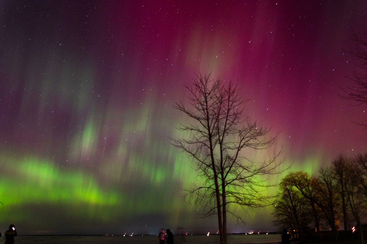 Daisy209409's tweet photo. 🇨🇦In the early morning of March 24, the starry sky pulsed
fleeting but precious
Address: 451 Arrowhead Park Rd, Huntsville, ON P1H2J4
#Canada #aurora #starrysky https://t.co/xCeeOPuI00