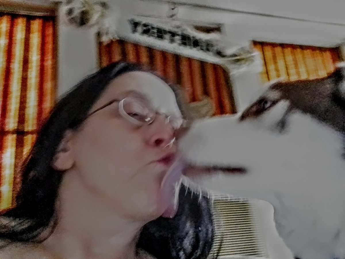 Nannook2021's tweet photo. Afternoon friends! Hope your day is going well. Mom hasn't been doing well. Between the storms and losing power, labs results are not looking good! I the great Nannook has been with her! Have a pawtastic day of love and play! https://t.co/0HoS5nYpat