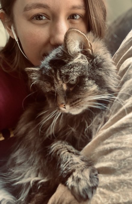 Happy Saturday from me and my fluffy son 🐈&zwj;⬛ 💖 https://t.co/jCNQJy761m<a href="/tag/mvsales"class="tags"><span>#mvsales</span></a>