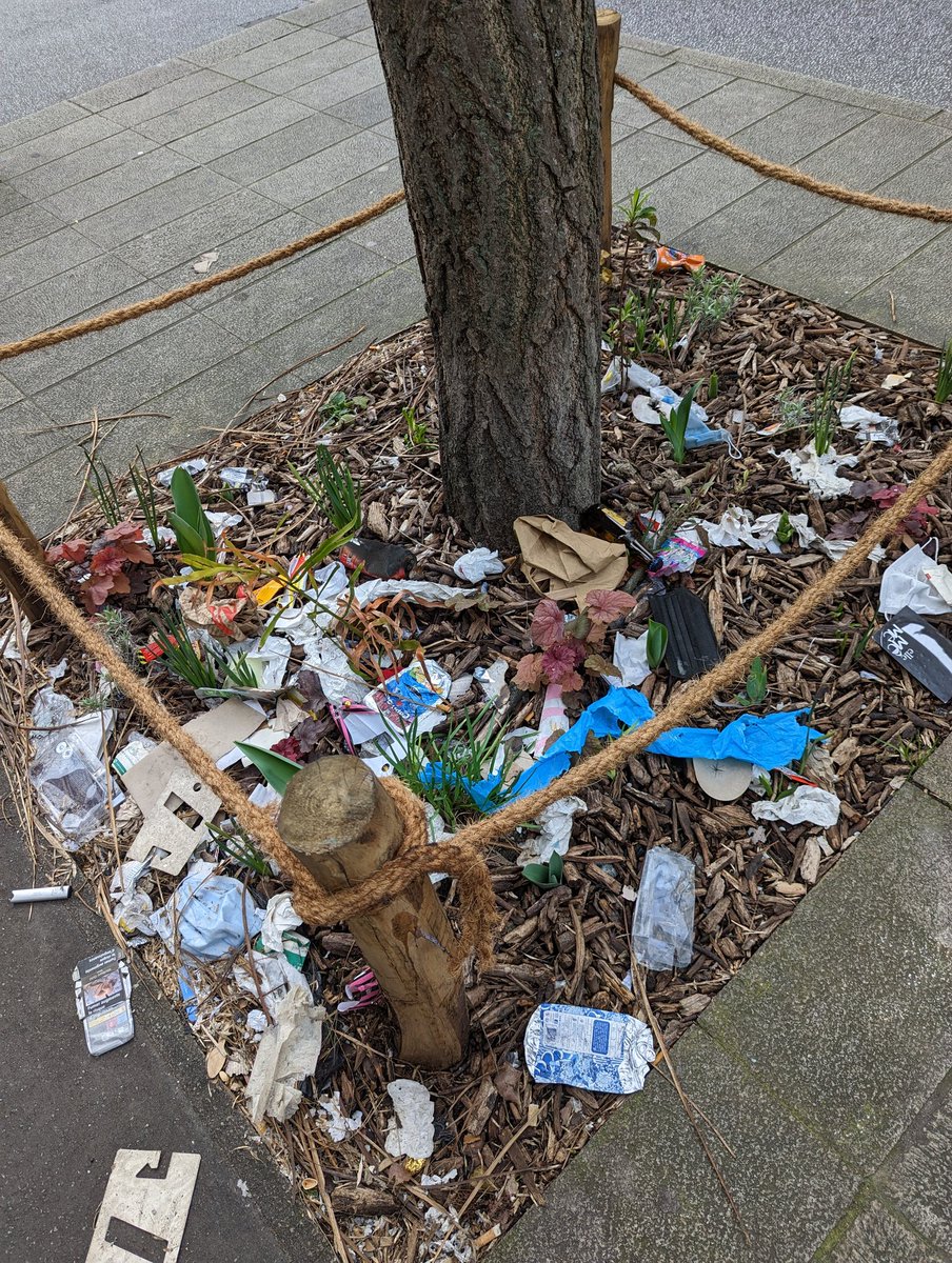 Resistant_23's tweet photo. A #Nantes, ils ont végétalisé les pieds d'arbres comme chez #Hidalgo... Le saccage s'exporte en province, mairie de gauche oblige. #saccageparis #saccagelaFrance #saccagenantes https://t.co/58i292fP5d