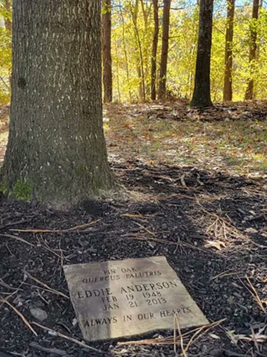 Rome is delighted to offer the Heritage Trail. Many trees along the trail have beautifully engraved Flagstone plaques commemorating loved ones. Although within the city limits, for a brief moment, you feel as if you've escaped the city. Info: bit.ly/3n9B9hn