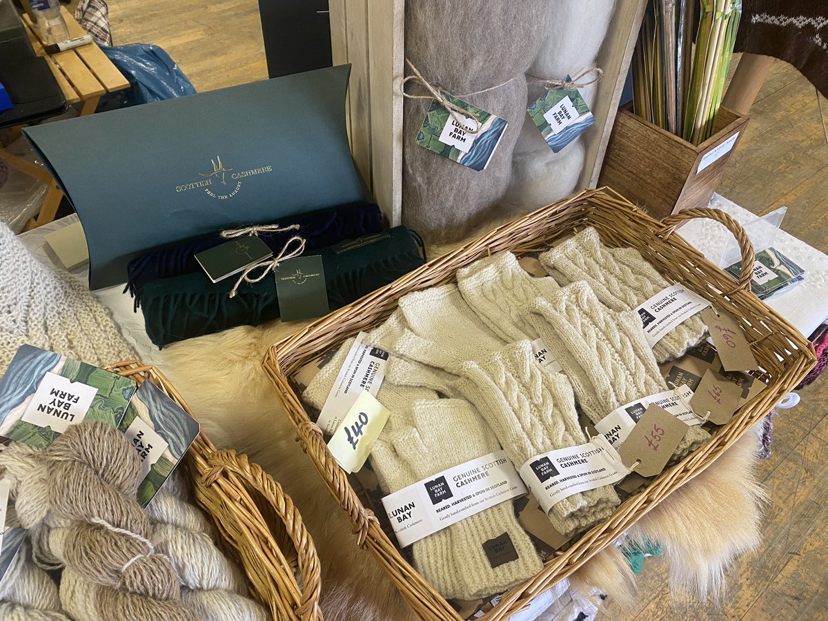 Lunan Bay Farm - Scottish Cashmere Goats tweet media