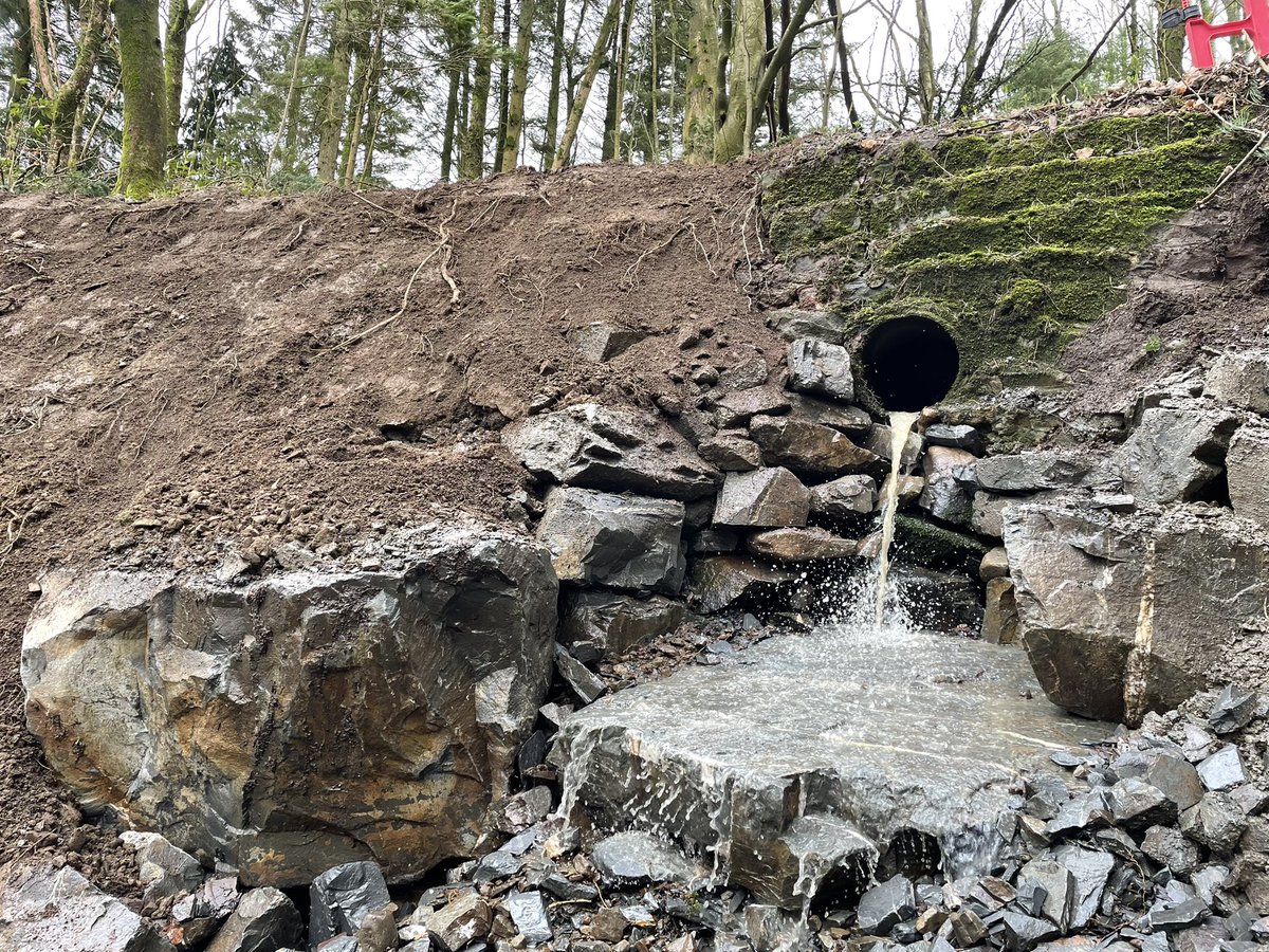 Mark Richardson 🇬🇧 tweet media