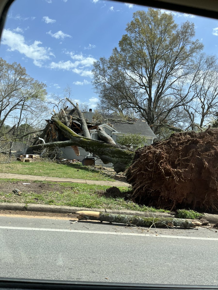 MakiCoopa's tweet photo. @ryanhallyall Florence, AL https://t.co/U2B3s0nhpw
