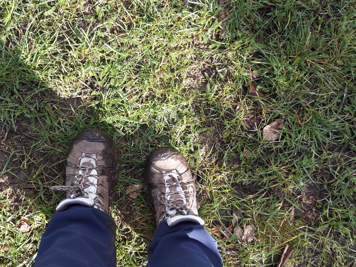 Walking in mud is always a challenge that I will always try to expect! #walk1000miles2023 @countrywalking