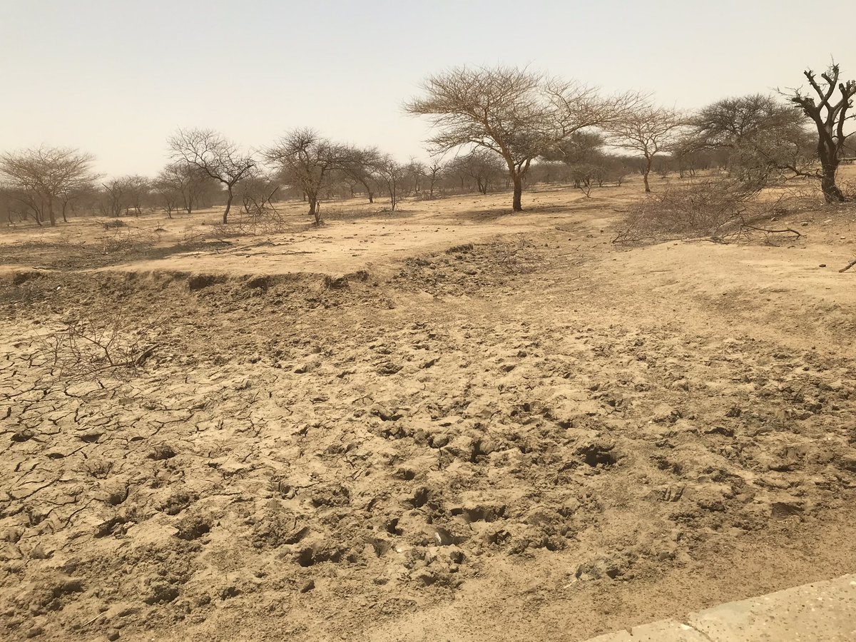 MahamanMahama14's tweet photo. Temperatures in the Sahel are rising 1.5 times faster than in the rest of the world, worsening already harsh climatic conditions and increasing pressure on farming communities and resources.#ClimateAction #ClimateEmergency @ongreagro @RegreenAfrica @Sdg13Un @pinoproxie https://t.co/JasiVG0mZc