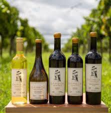 spheramundus's tweet photo. Imagina Buenos Aires. Curso de asados y parrilla con la Escuela Argentina de Parrilleros. Visita a Viña Gamboa: experiencia de Cata de vinos y maridaje. Una agenda cultural, turística y vital. Disfrutar una ciudad inolvidable y vivir una experiencia memorable. https://t.co/TvKnRdG2q6