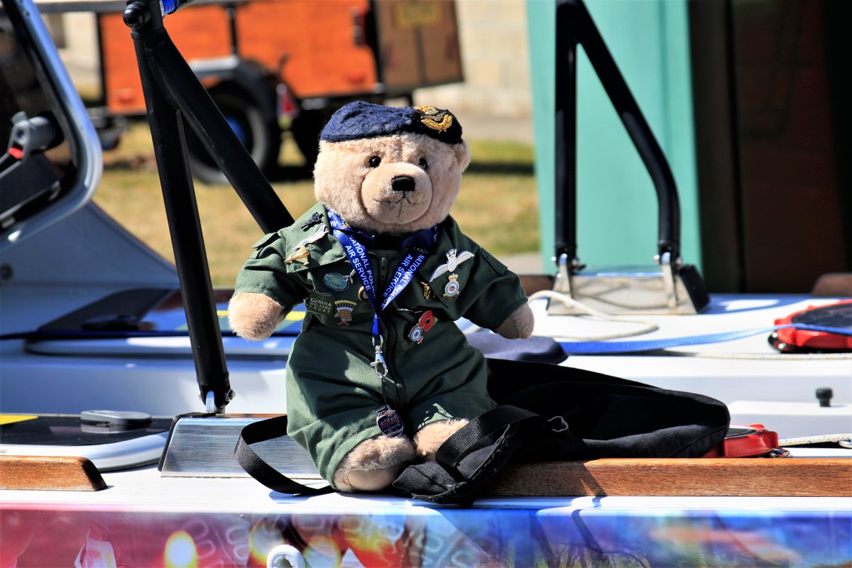 bearforceofficial tweet media