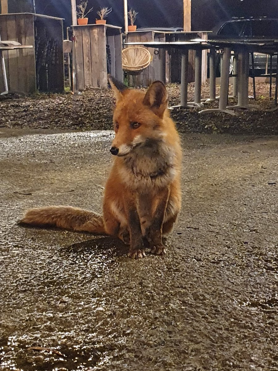 Waiting for some food and this little one is also sat waiting patiently for some food. #nature #priviledged