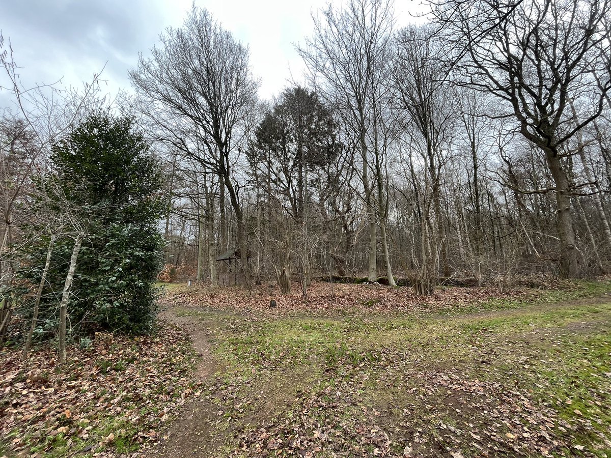 HansPeterRol's tweet photo. We mogen weer, nou bijna, over een week begint het nieuwe kampeer seizoen. 

#campingmidzomer #midzomer #diever #Shakespeare #kamperen #seizoen #leukecamping #DrentsFriesewold https://t.co/6k20AXa2nn