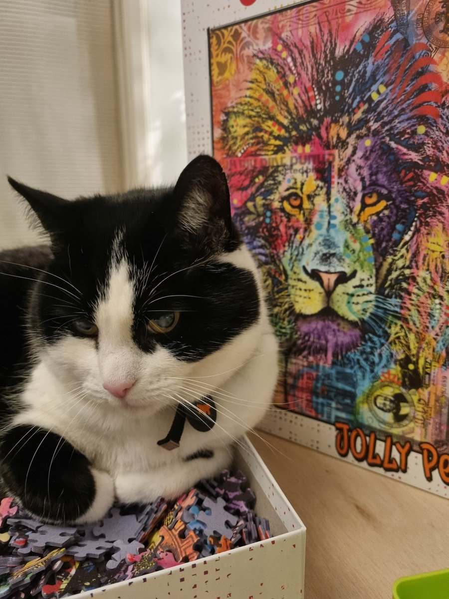 Zaterdagavond Rock and Roll.