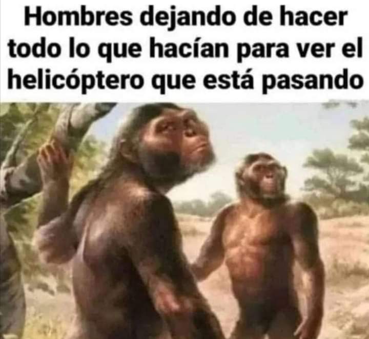QuimeyHerrera01's tweet photo. https://t.co/tGpDC8TEFU