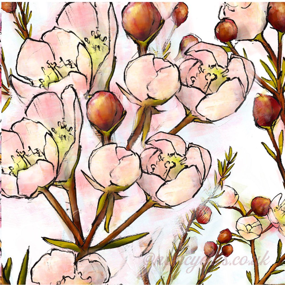 NancyEllis.co.uk tweet media