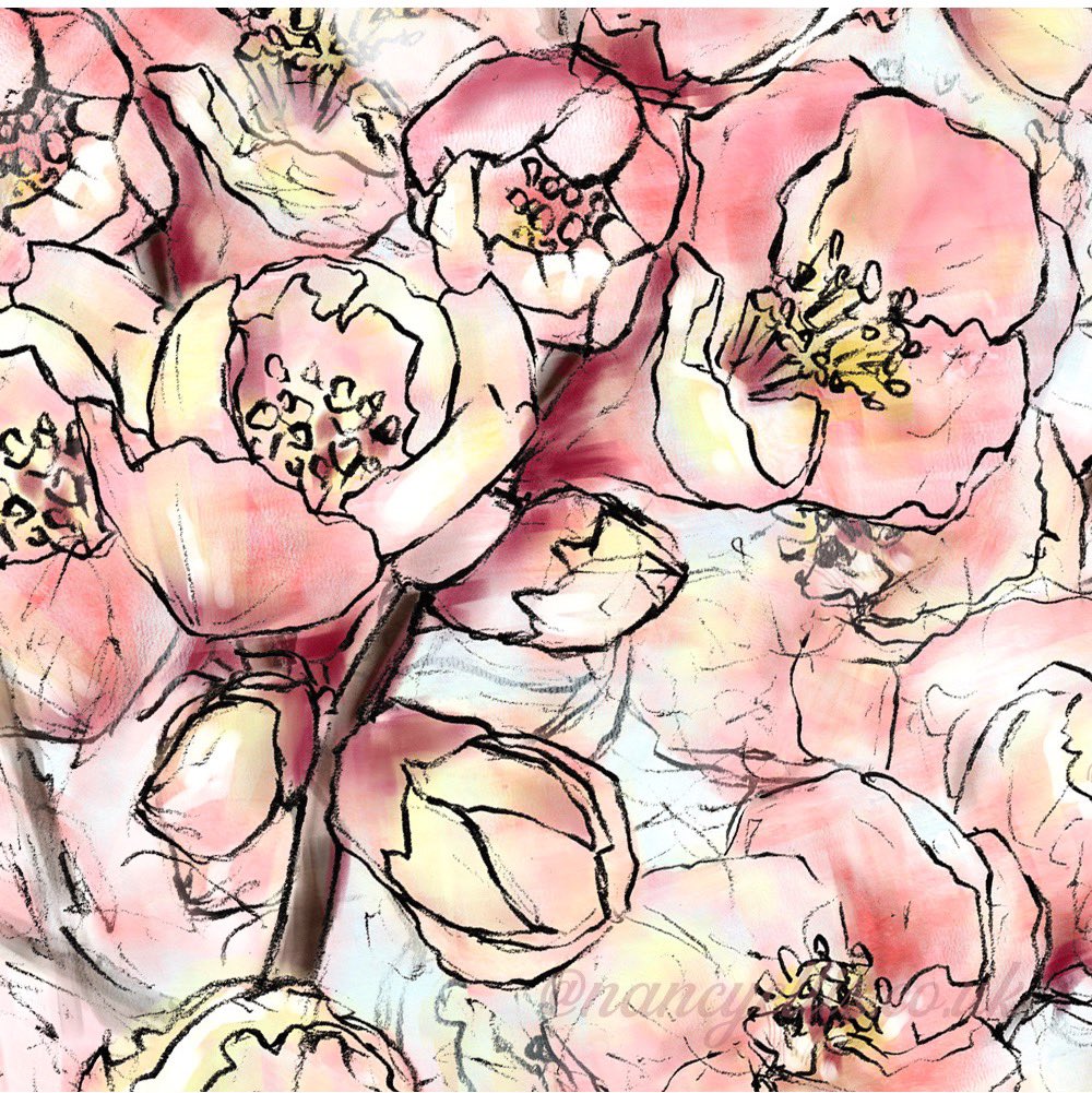 NancyEllis.co.uk tweet media