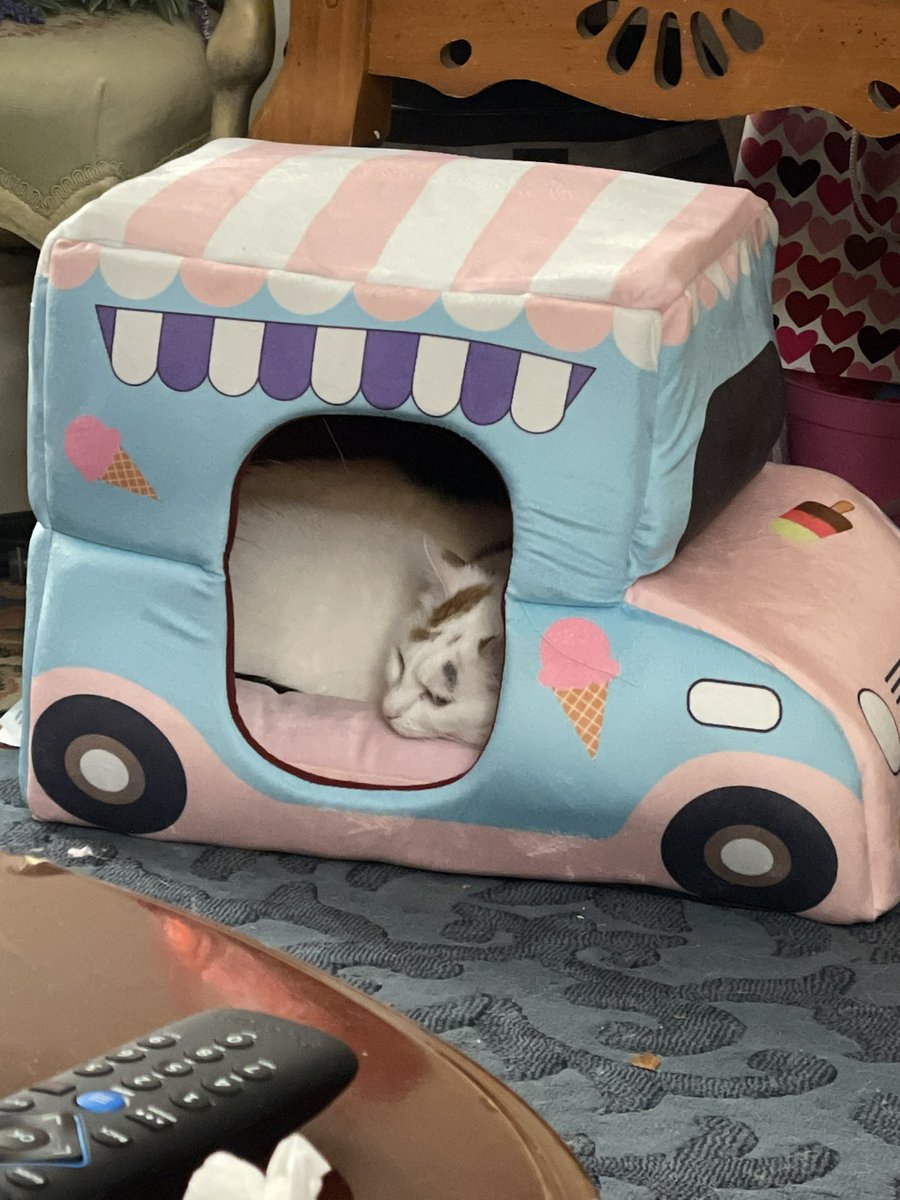 _Captain_Cat_'s tweet photo. No one came to her ice cream truck :( https://t.co/sSQvTLpaLv