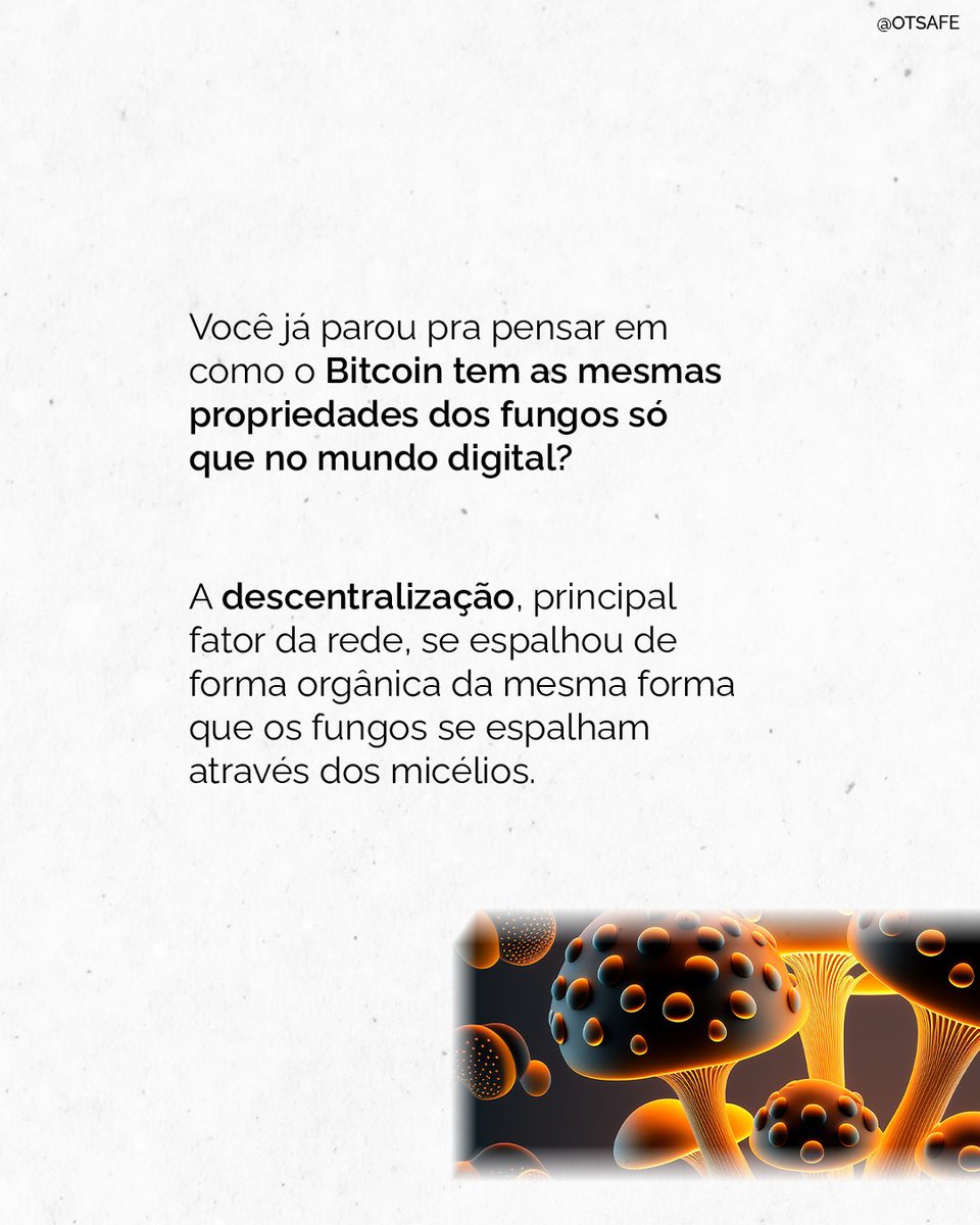 OTSafe's tweet photo. Será que existe relação entre o BITCOIN e COGUMELOS? Arrasta pro lado e venha conferir o que essas duas coisas tem em comum!

Não perca seu tempo e comece hoje mesmo a comprar seus bitcoins! Entre em contato.

#otsafe #cryptocurrency #Bitcoin #cogumelos #technology #btc #news https://t.co/ALh30ADwDe