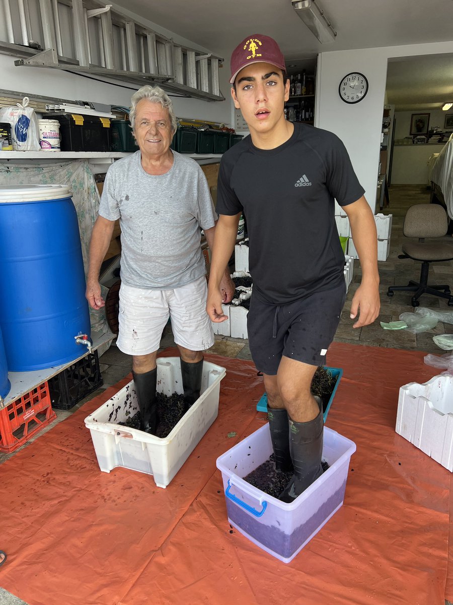 PManeas's tweet photo. My son Irinaios making wine with our Neighbour Jim in Sydney 7 years ago and today.  The cultural DNA is still there no matter how old or where you are in the world. https://t.co/a7AksEN4mZ