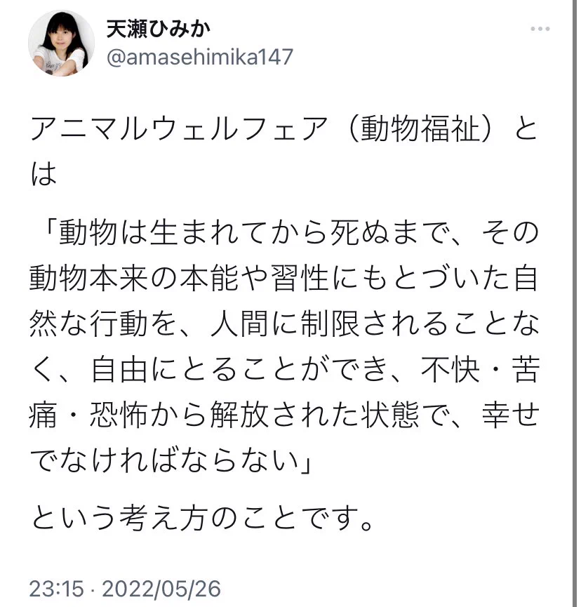 卵の特売なんて要らない。
生産者が買い叩かれるだけだから
🐓さんの飼育環境がますます悪くなるだけ。
「価格の優等生」とか言ってアニマルウェルフェアを蔑ろにしてきた天罰かも？
私は、平飼い・遺伝子組み換え飼料不使用の🐓🥚を買っています。  