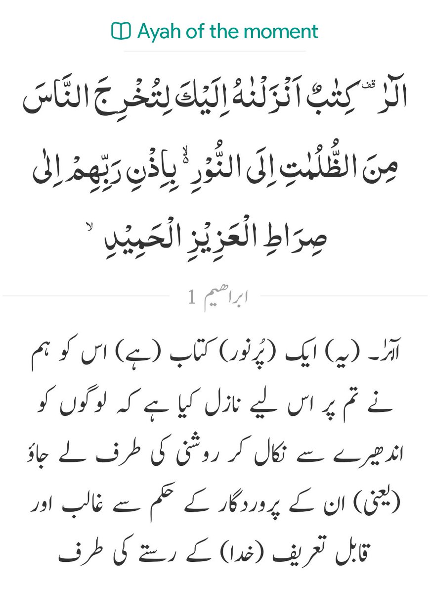 Assalam u Alaikum wr wb
Have a nice &amp; happy Sunday morning my friends🌹🌼🌼