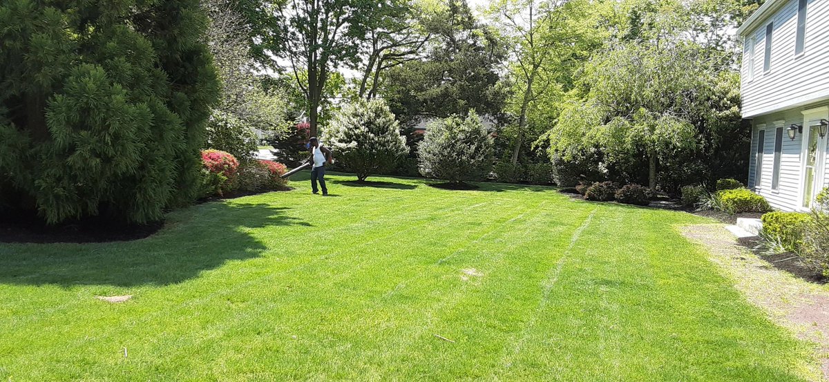 Offering Spring Cleanups for the 2023 lawn season. Call Jamie at 631.987.5939 for for a free estimate.