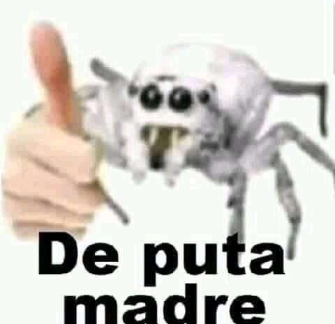 No suelo sentir enojo, pero hoy me estoy luciendo