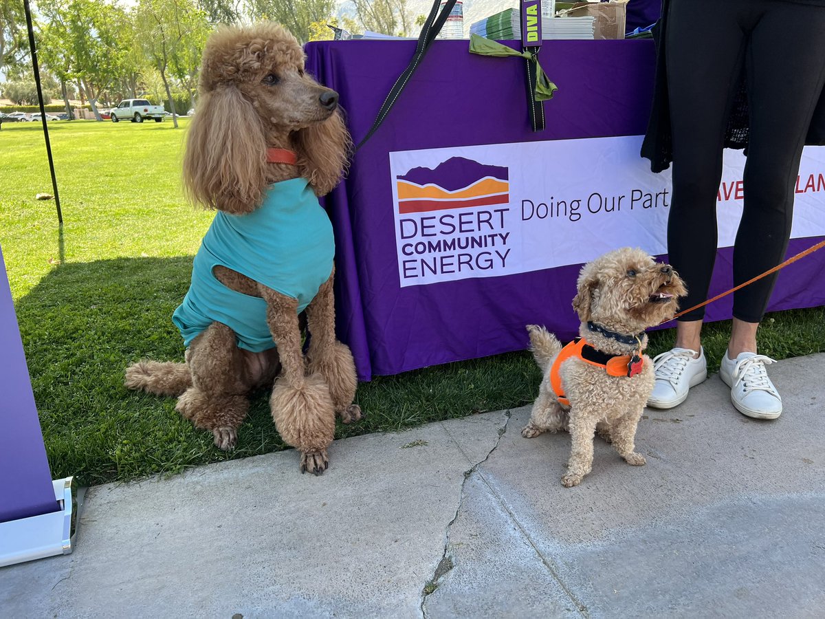 Great day at the ONE-PS Picnic &amp; Community Expo! We had a great time answering questions and appreciate all the community support to go #CarbonFree with #DCE! It was also great meeting so many of your four legged furry friends!!! #palmsprings <a href="/CityofPS/">City of Palm Springs</a> #SaveEnergy