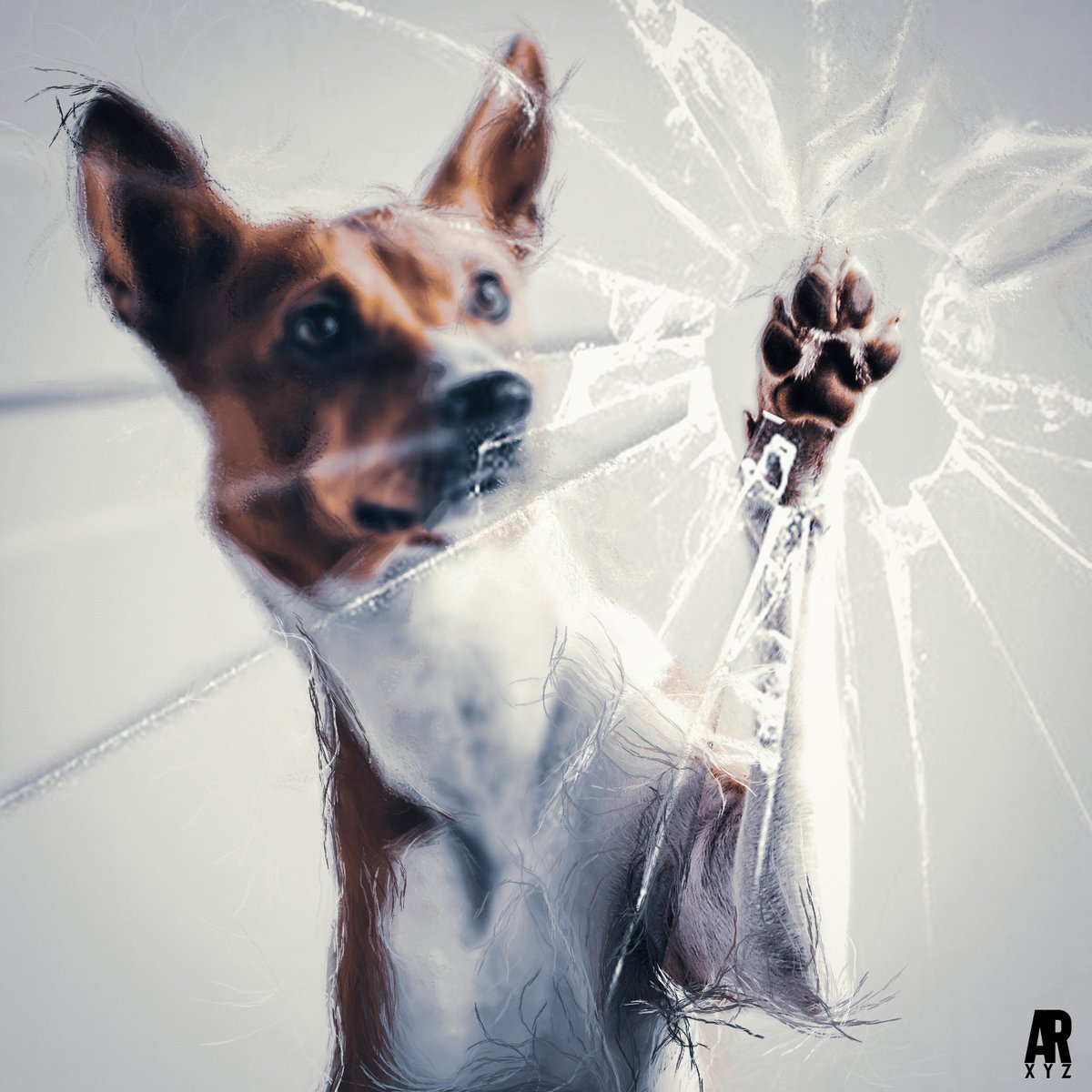 Alto_Relieve's tweet photo. Pintura digital #02 en Photoshop
-
-
-
#photoshop #pinturadigital #dog #dogis #animal #cristal #vidrio https://t.co/FFNz0y86Cg