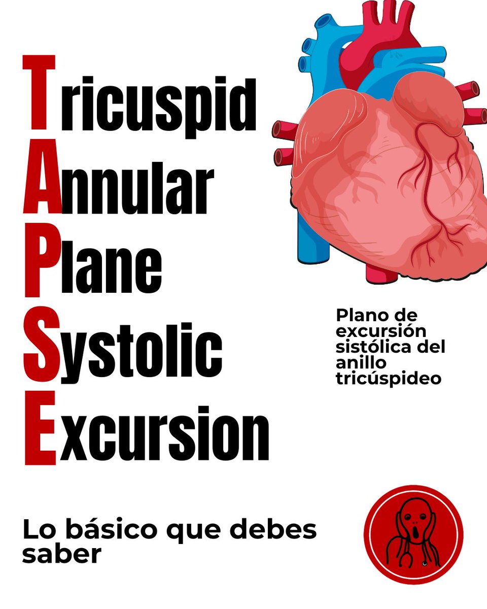 Lo básico a saber sobre TAPSE