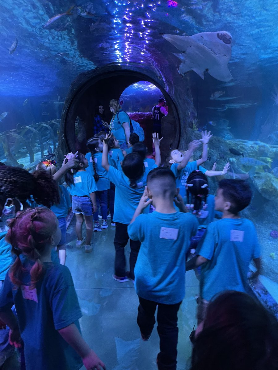 They were so excited to see the actual sea animals that we had just learned about!   I was so proud of how many things they actually remembered! #ingramingenuity <a href="/FISD_Ingram/">Hazel Ingram Elementary School</a>