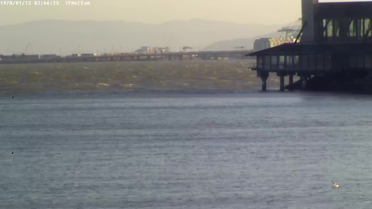 #windywindy... > 15kt <a href="/calsailing/">Cal Sailing Club ⛵️</a>! more at whatskraken.cal-sailing.org/wind