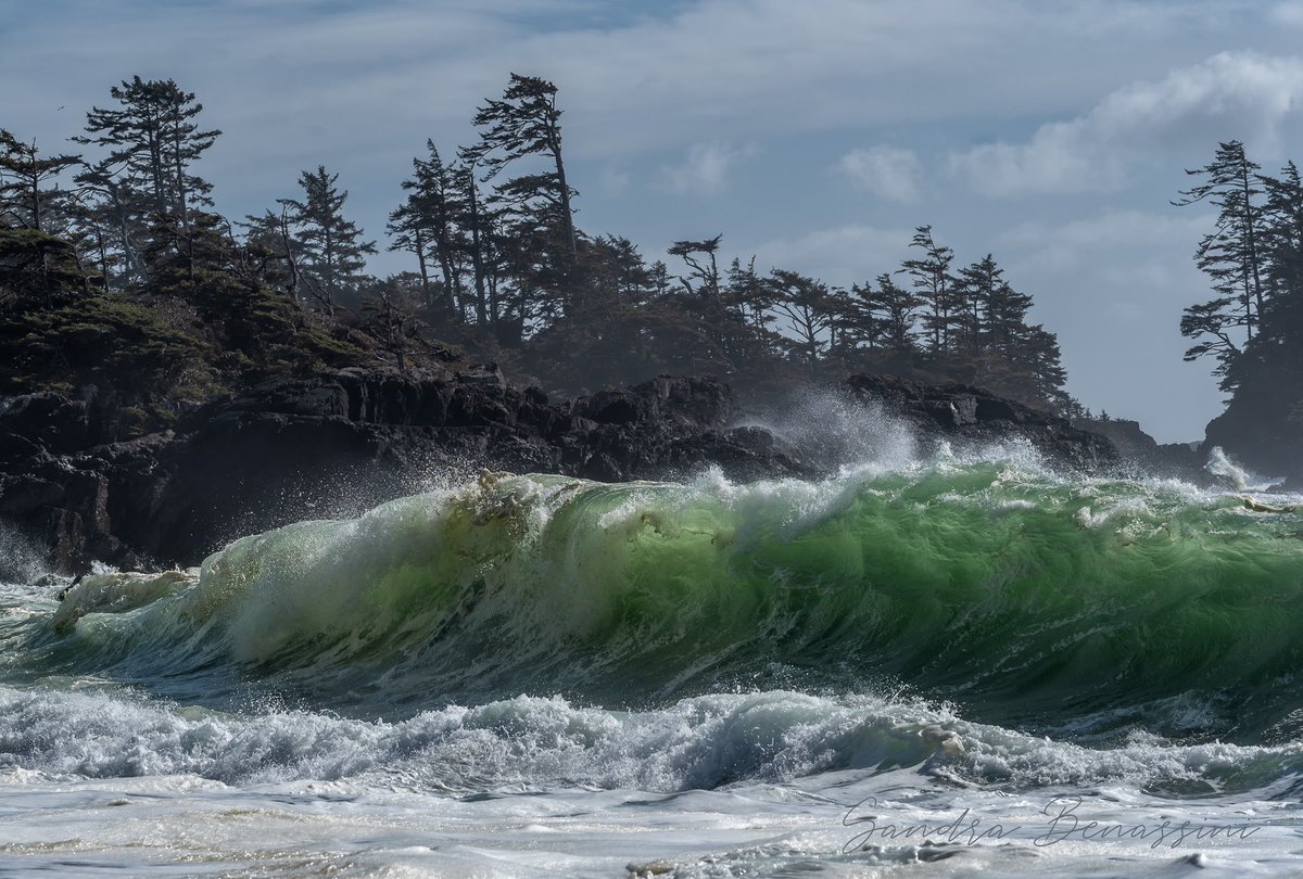 Sandra Benassini (@sandrabenassini) on Twitter photo Dark greens, waves, wind and <a href="/davidlmccolm/">David McColm</a> were the perfect combination for awesome photos yesterday. Dark greens, waves, wind and <a href="/davidlmccolm/">David McColm</a> were the perfect combination for awesome photos yesterday.